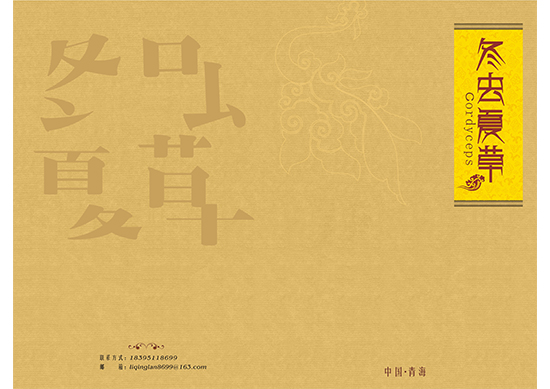 &#20048;&#40060;&#32593;&#39029;&#29256;&#45;&#20048;&#40060;&#40;&#20013;&#22269;&#41;